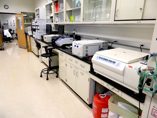 Equine Pharmacology Lab