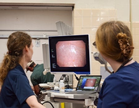 Clinicians looking at a monitor.