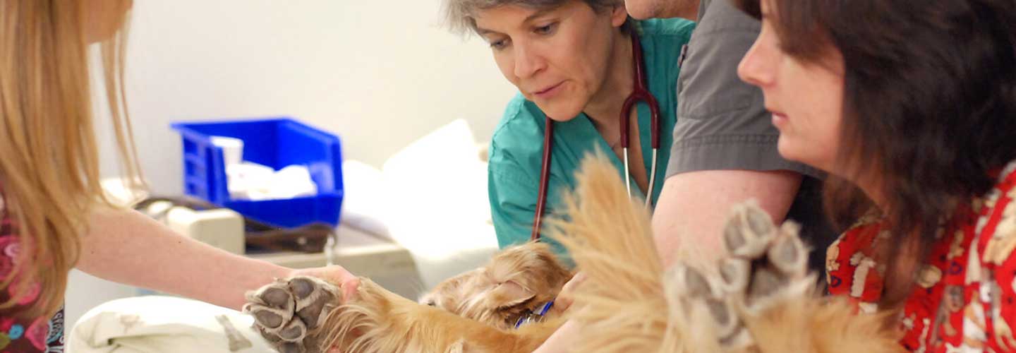 mason with patient