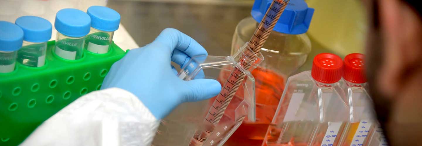 working in lab