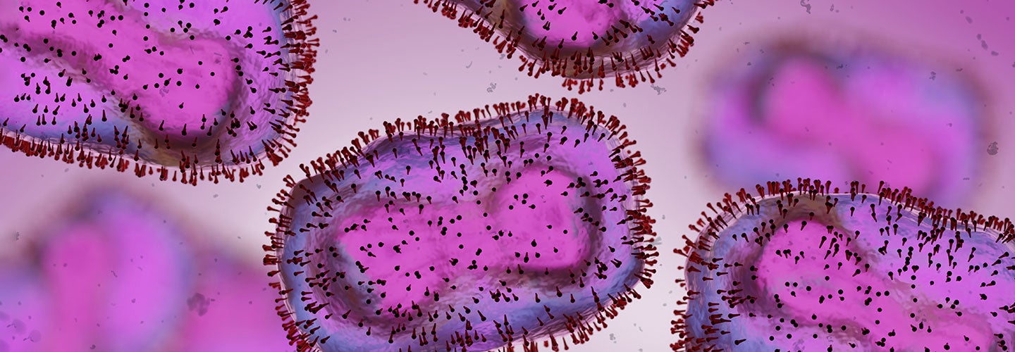 Monkeypox Viruses