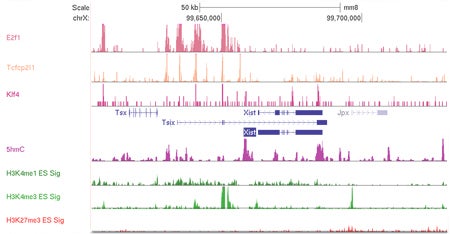 Mxic Chromatin