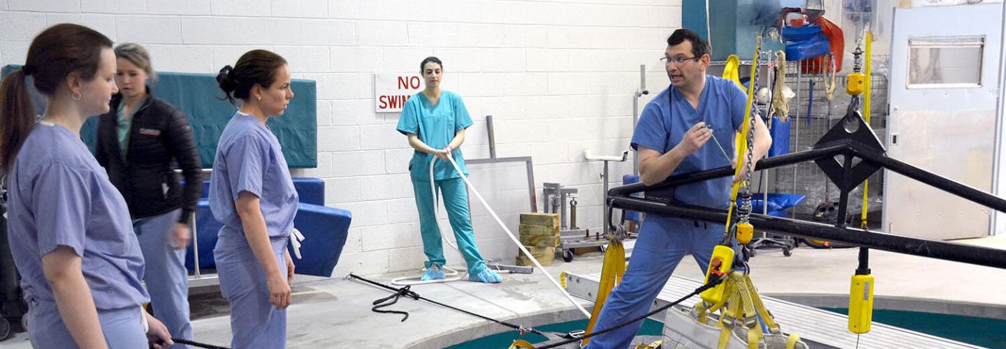 clinical services staff at New Bolton Center