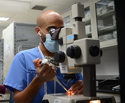 Dr. Felix, PEARL, New Bolton Center, ICSI