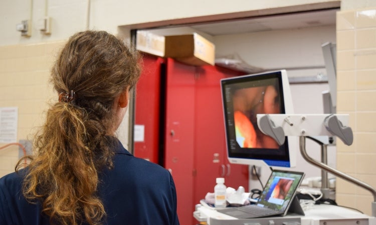 person looking at monitor