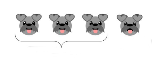 Punnett Square