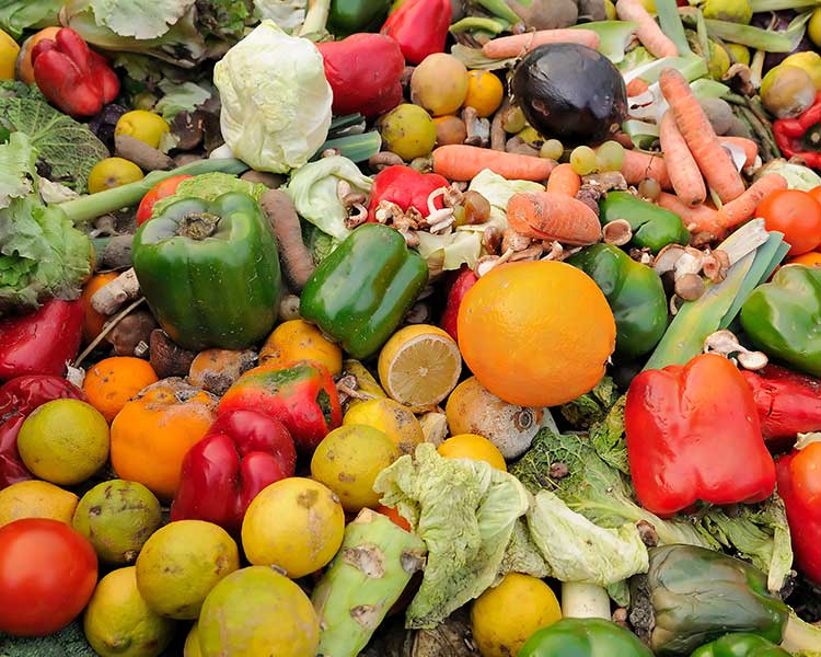 Rotting Vegetables