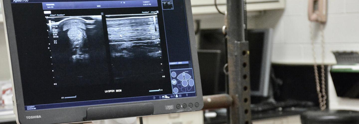 telehealth session reviewing health imagery