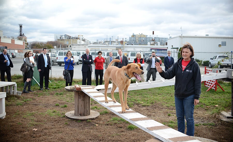 tour at the working dog center
