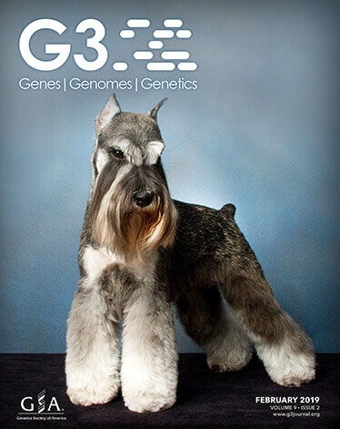G3 2 2019