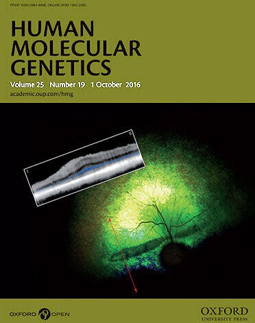 HMG 10 2016