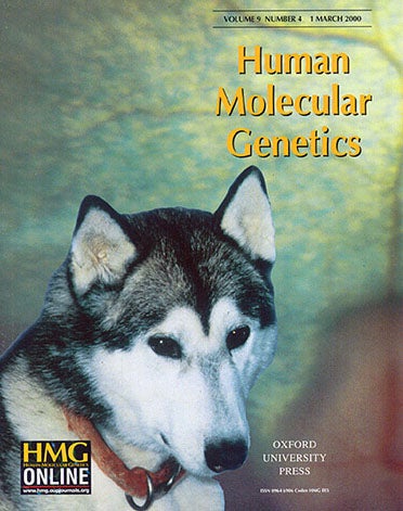 HMG 2 2000