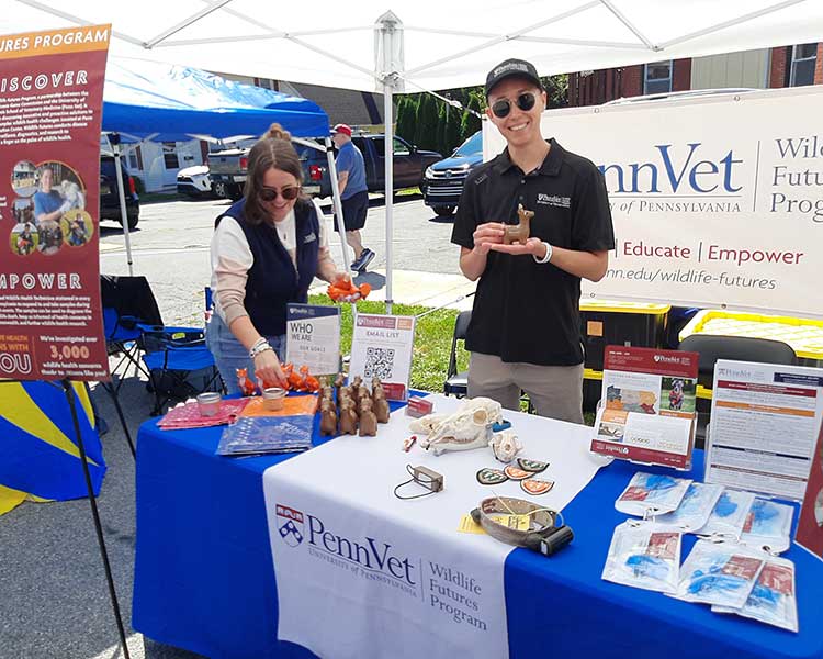 Mushroom Festival Booth
