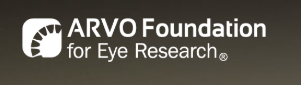 Arvo Foundation logo