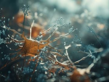 autoimmune-disease