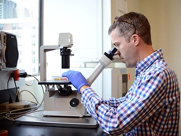Professor Legner researching