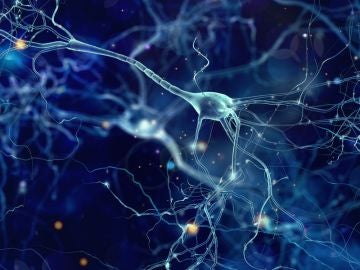 central-nervous-system