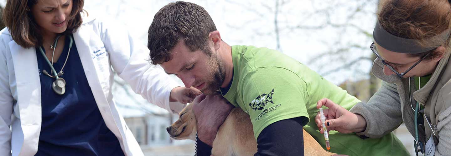 Dog Vaccination