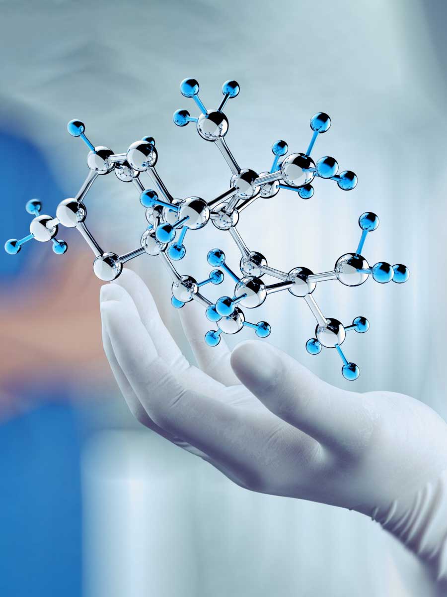 Handholding Molecular Model