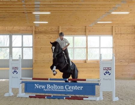 a person riding a horse over an obstacle in an indoor arena