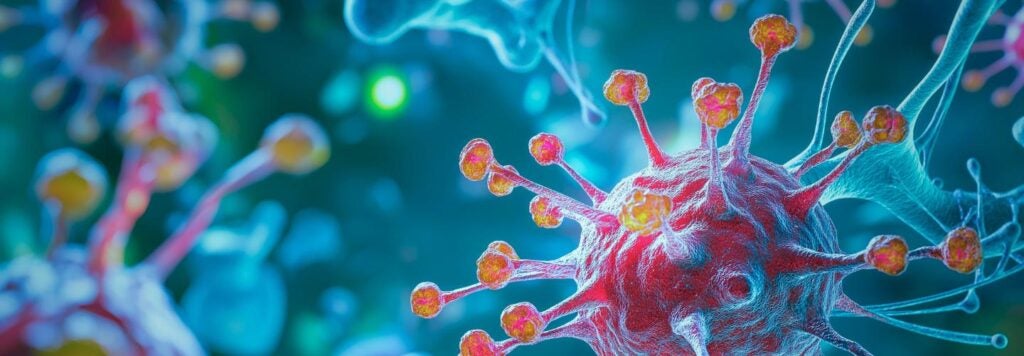 Viruses are shown in this image