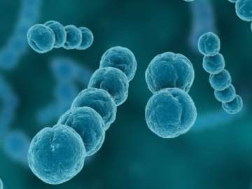 infectious-disease