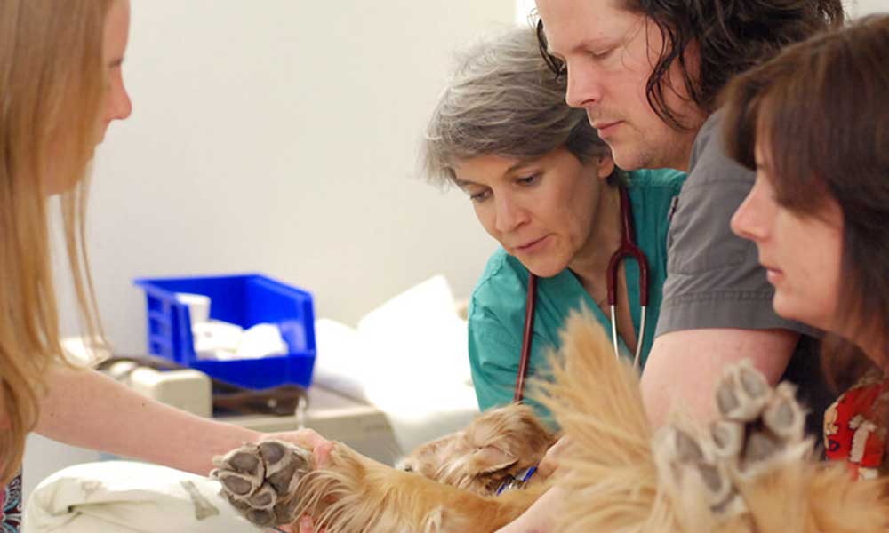 Mason With Patient