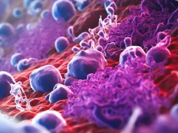mast-cells