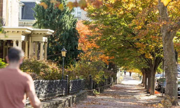 a person riding a skateboard down a city street in the fall
