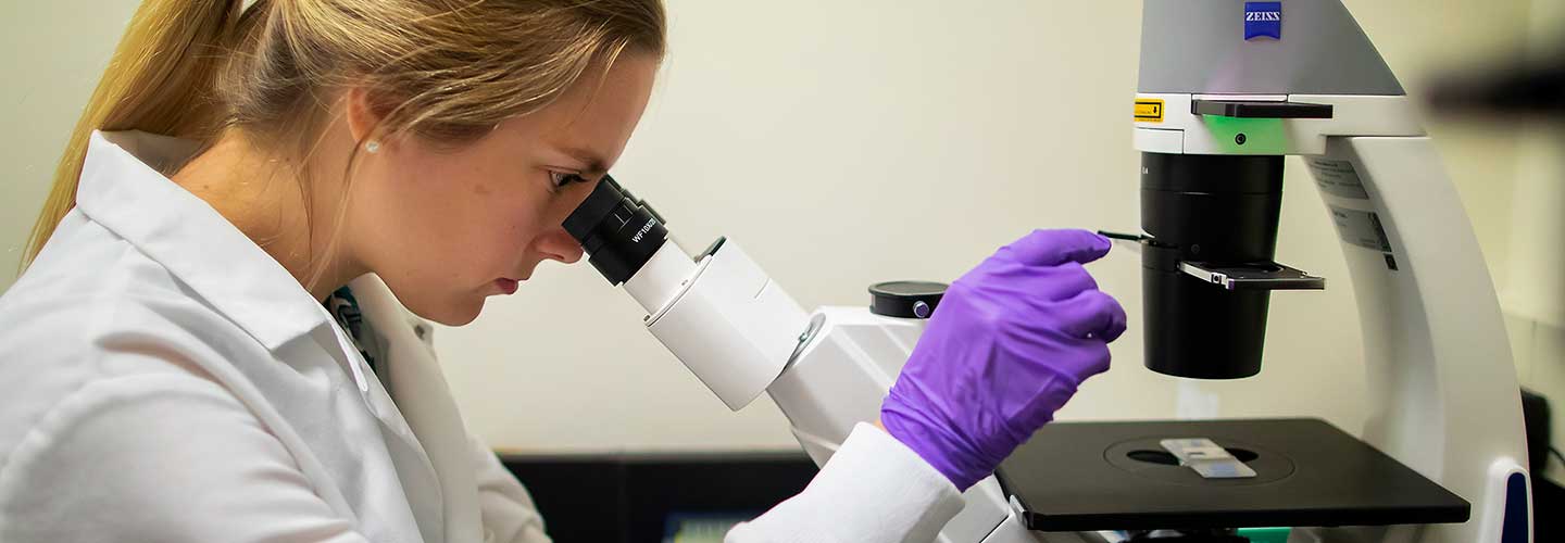 Researcher Using Microscope