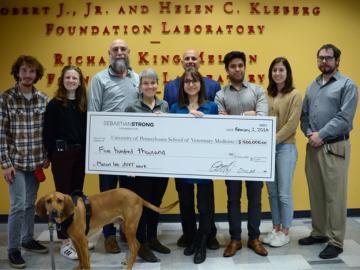 Sebastian Strong Discovery Grant Awarded