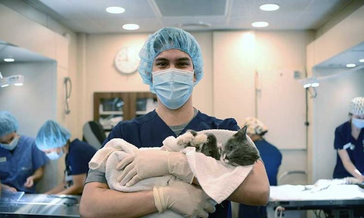 a person in scrubs holding a cat in an operating room
