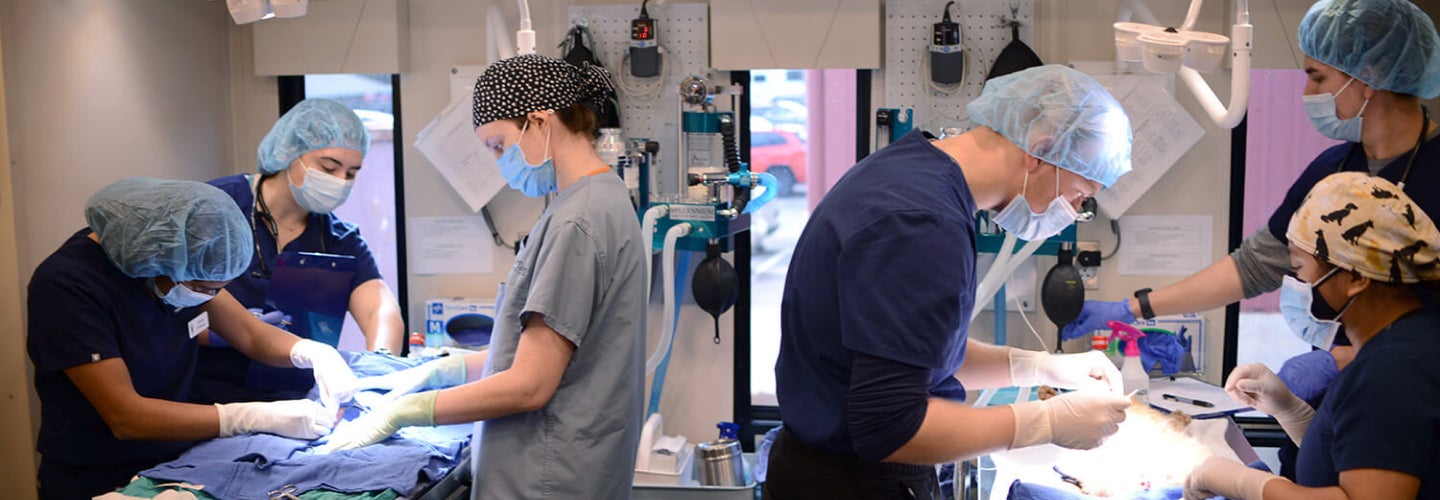 Surgery Teams