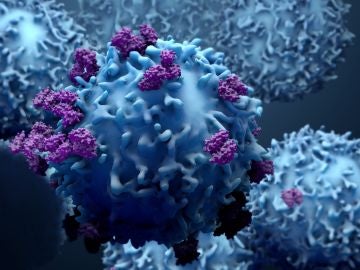 t-cells
