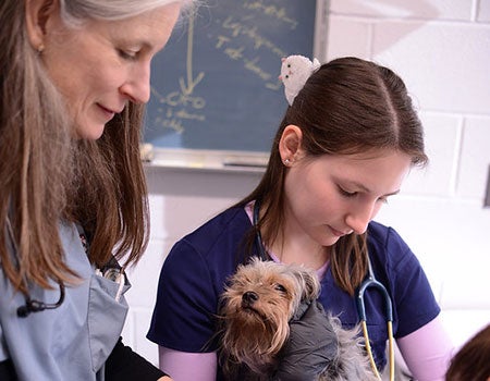 faculty and student with shelter dog