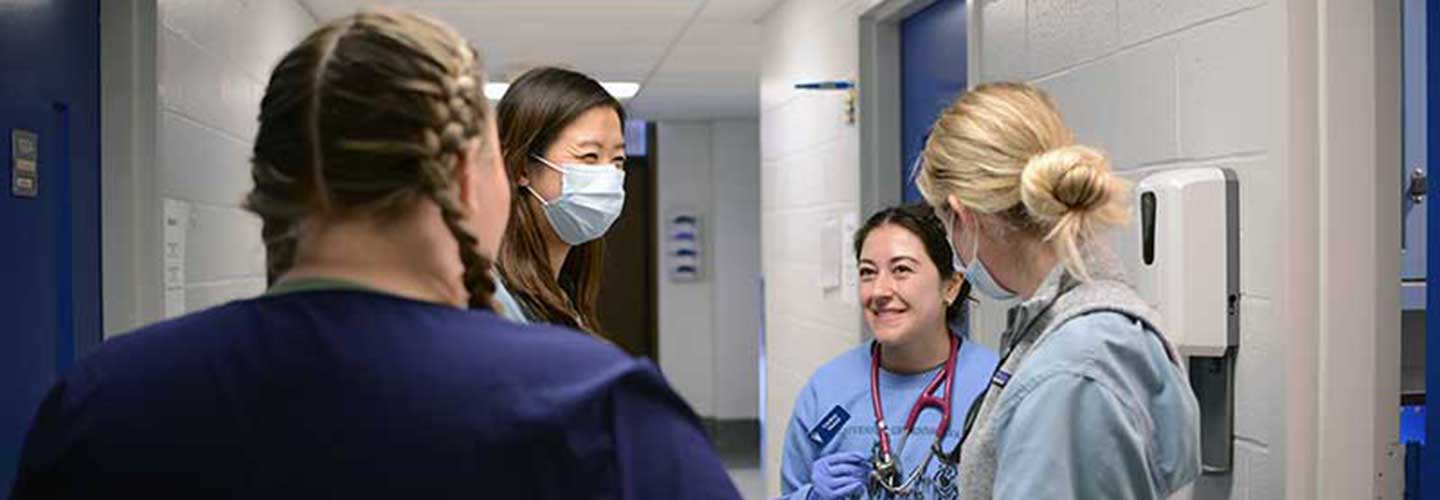 Vet Students