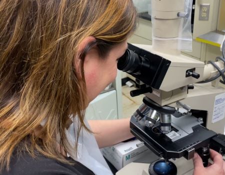 A person is looking at a microscope in a lab.