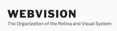 Webvision logo