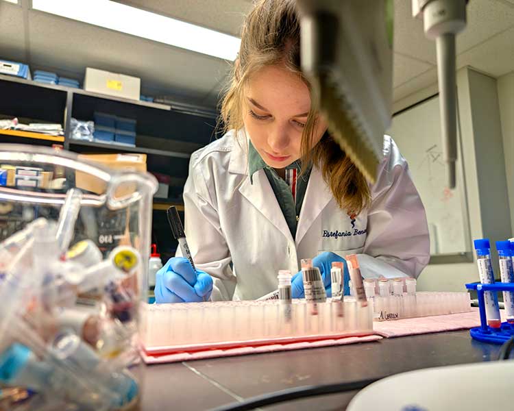 MSTR Student In Lab