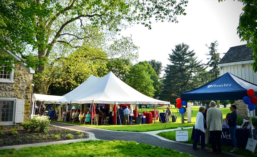 Alumni tents on College Green