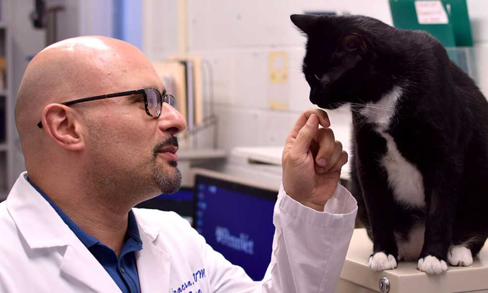 Dr Siracusa And Cat