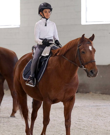 A person sitting on a brown horse.