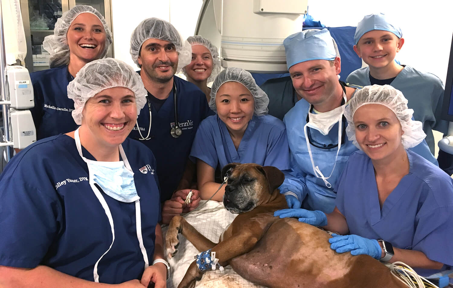 Clinicians with a dog recovering from surgery.