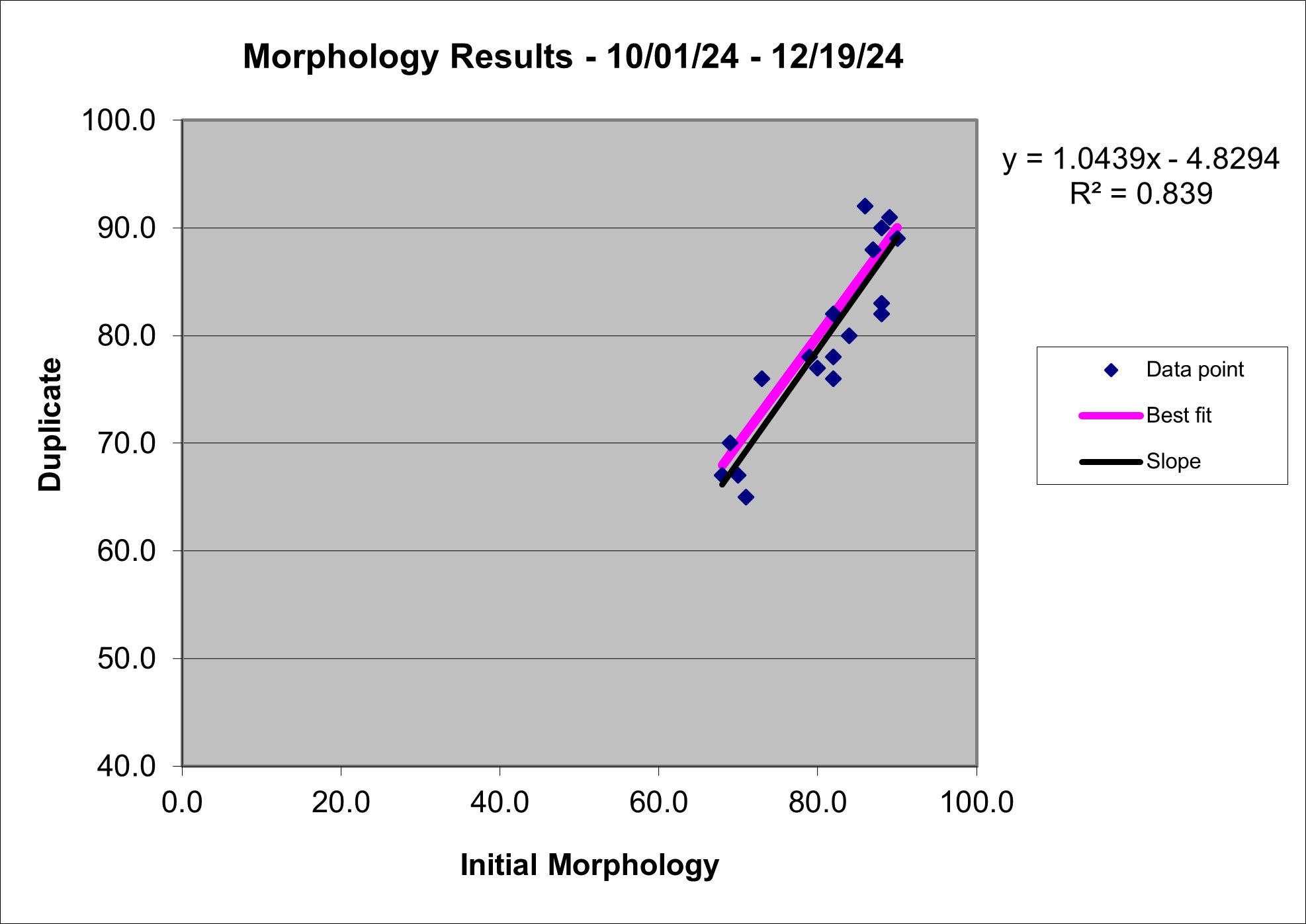 24Q4 Morph