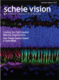 Scheie Vison cover