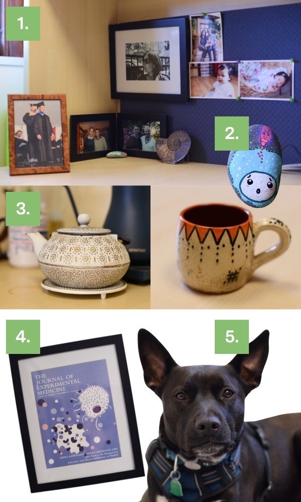 A Collage of items from an office.