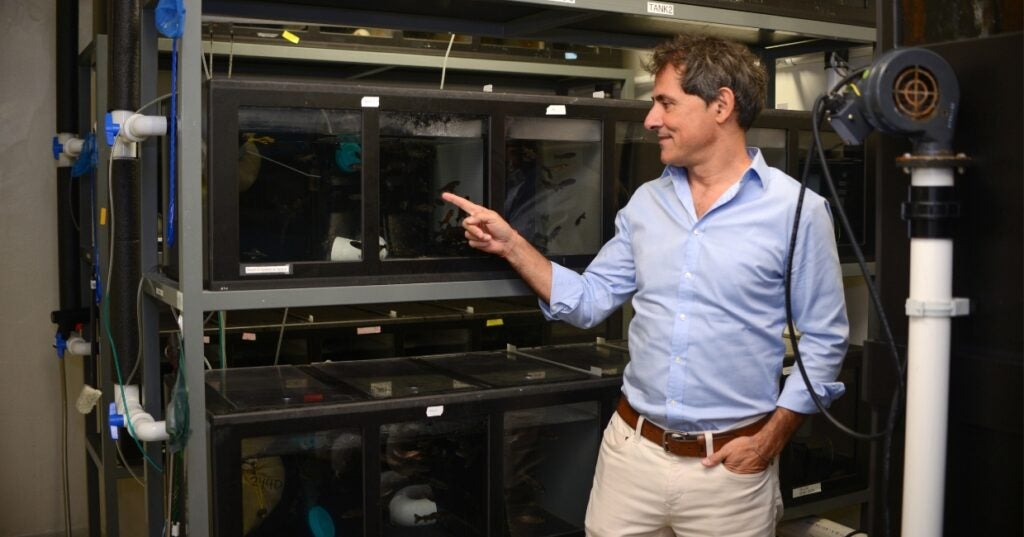 A person in a blue shirt pointing at fish in a tank.