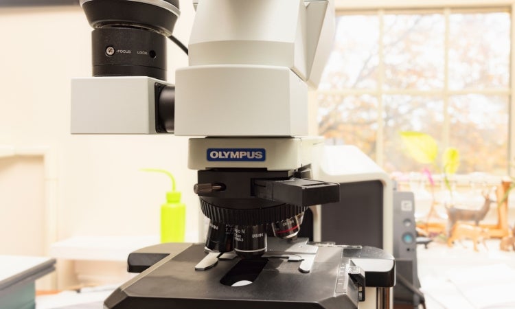 an image of a microscope on a desk in front of a computer