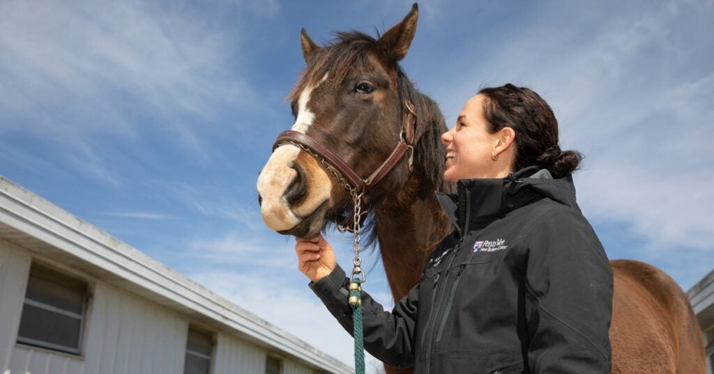 A person standing next to a horse under a blue sky.