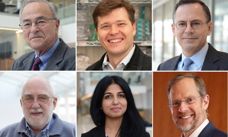 Images of Gustavo Aguirre, Petr Baranov, William Beltran, David Gamm, Raghavi Sudharsan, and John Wolfe